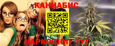 индика Тулун