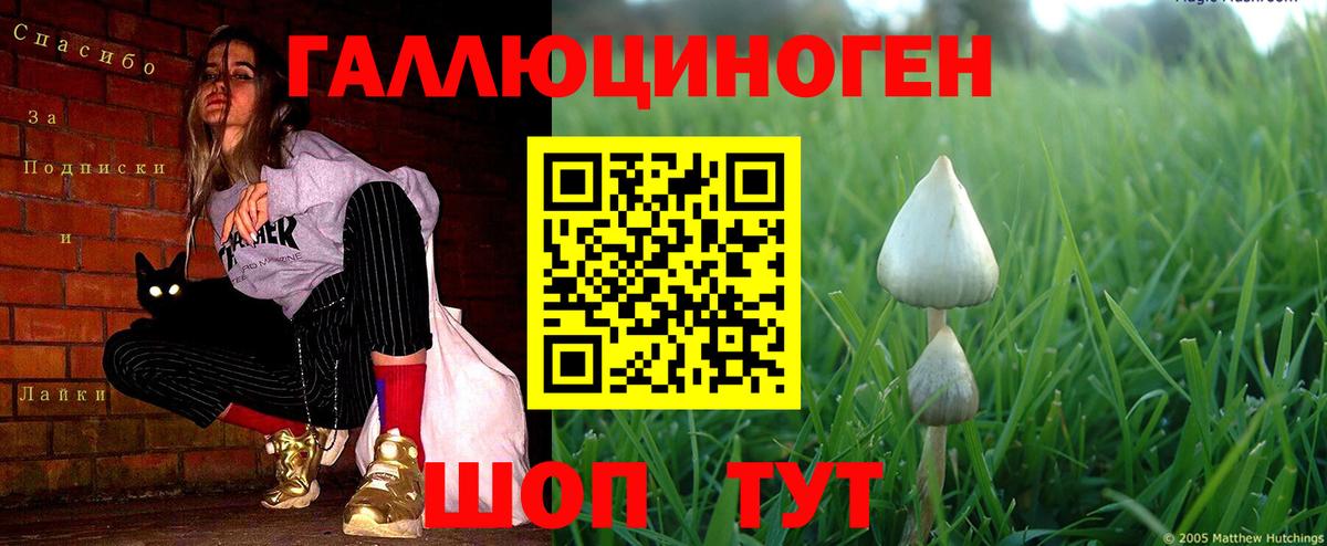 Галлюциногенные грибы мухоморы  Вход с VPN  Псилоцибиновые грибы ЛСД  Элиста 